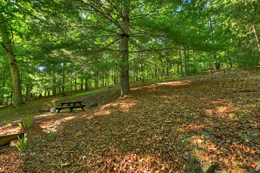 32 Lake Front, Morganton GA 30560 - Photo