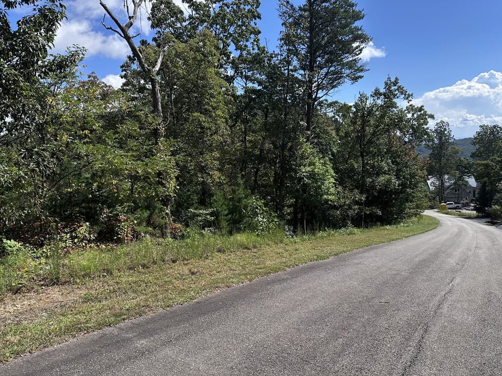 234 Stone Cliff Drive, Ellijay GA 30536 - Photo