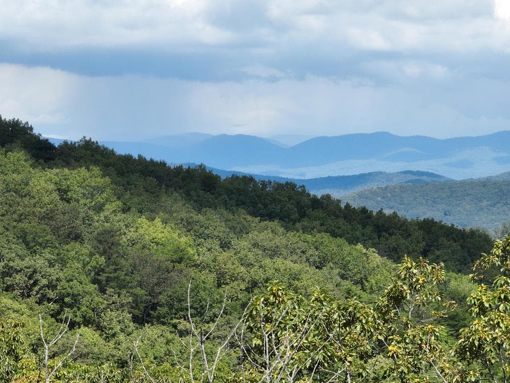 234 Stone Cliff Drive, Ellijay GA 30536 - Primary photo