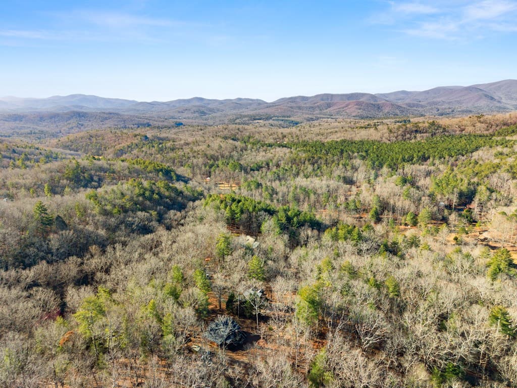 234 Old Indian Trail, Blue Ridge GA 30513 - Photo