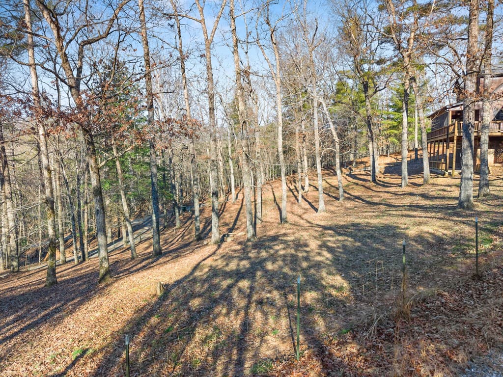 234 Old Indian Trail, Blue Ridge GA 30513 - Photo
