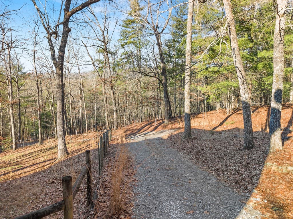 234 Old Indian Trail, Blue Ridge GA 30513 - Photo