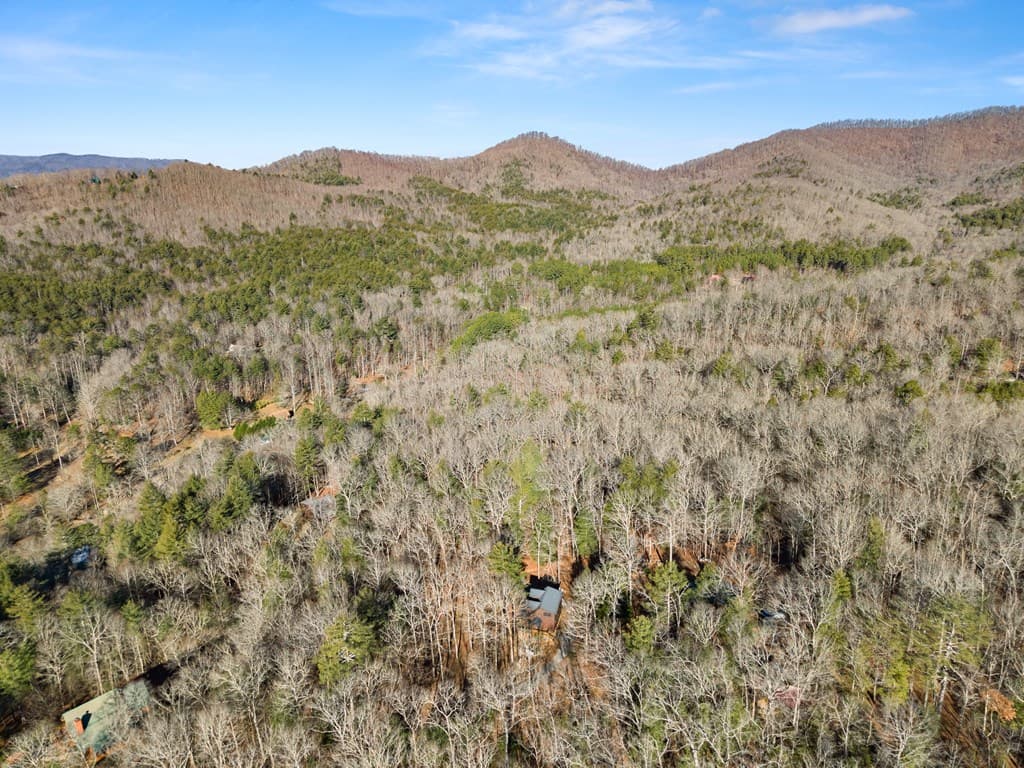 234 Old Indian Trail, Blue Ridge GA 30513 - Photo