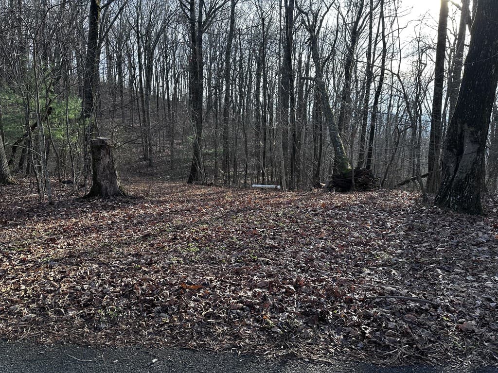 32 Andes Ridge, Jasper GA 30143 - Photo