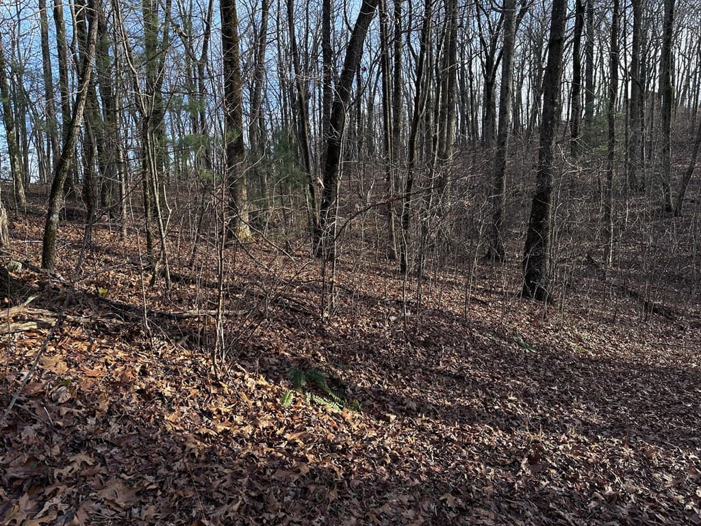 32 Andes Ridge, Jasper GA 30143 - Photo