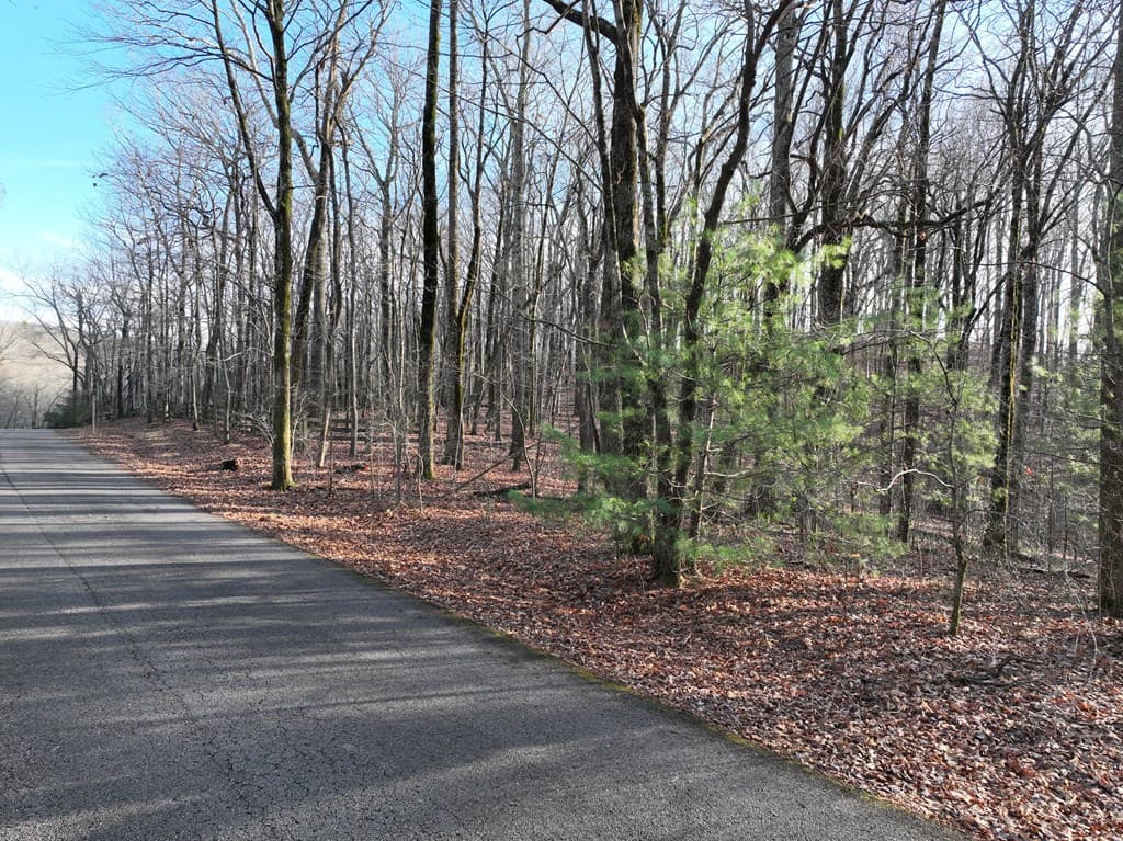 32 Andes Ridge, Jasper GA 30143 - Photo