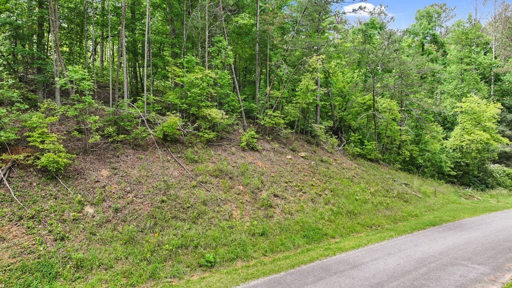 lot 205r Pinnacle Drive, Ellijay GA 30540 - Photo