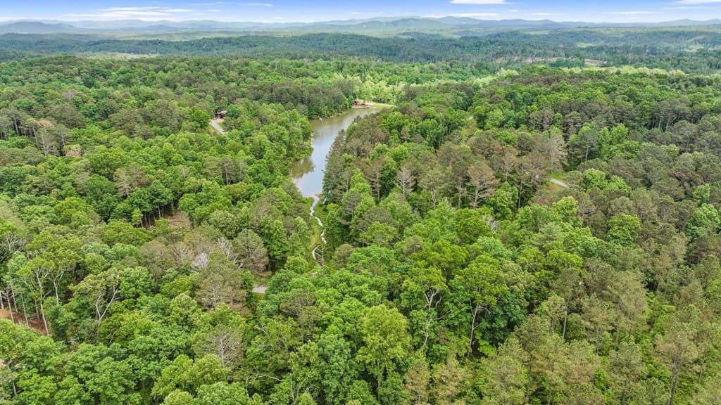 lot 205r Pinnacle Drive, Ellijay GA 30540 - Photo