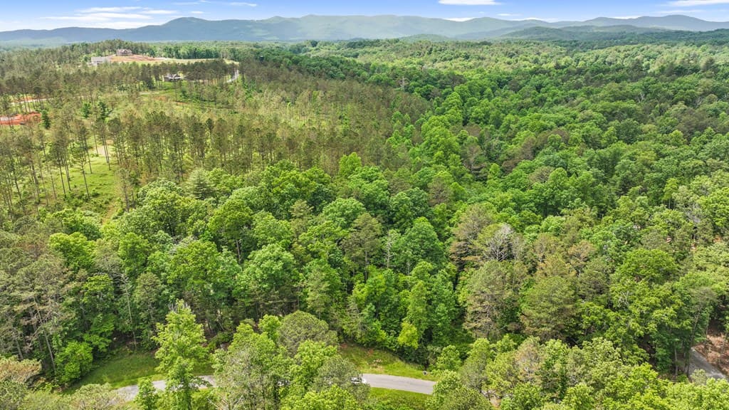 lot 205r Pinnacle Drive, Ellijay GA 30540 - Photo