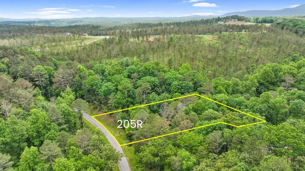 lot 205r Pinnacle Drive, Ellijay GA 30540 - Primary photo
