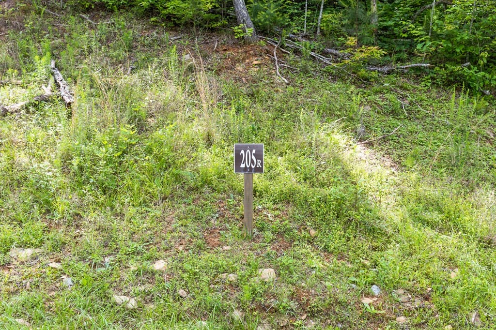 lot 205r Pinnacle Drive, Ellijay GA 30540 - Photo