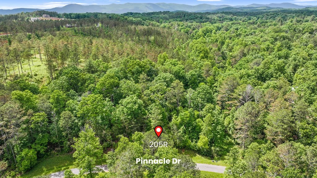 lot 205r Pinnacle Drive, Ellijay GA 30540 - Photo