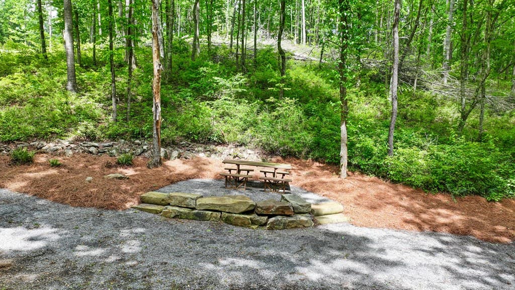 lot 205r Pinnacle Drive, Ellijay GA 30540 - Photo