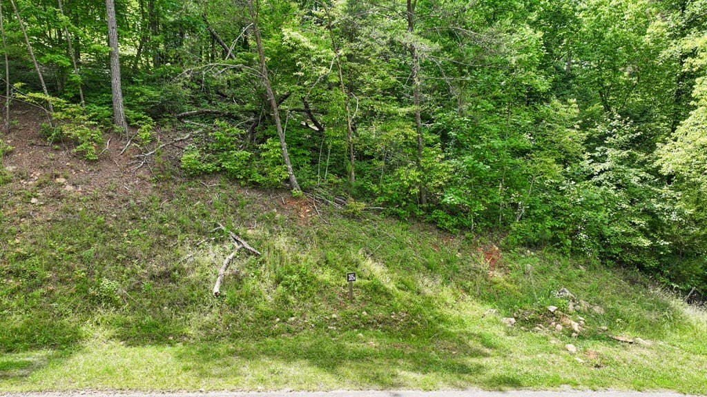 lot 205r Pinnacle Drive, Ellijay GA 30540 - Photo