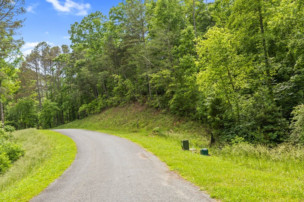 lot 205r Pinnacle Drive, Ellijay GA 30540 - Photo