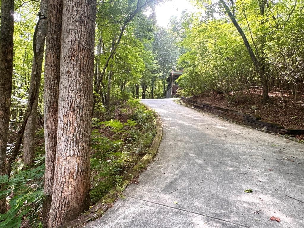 4777 Laurel Mountain Road, Hiawassee GA 30546 - Photo