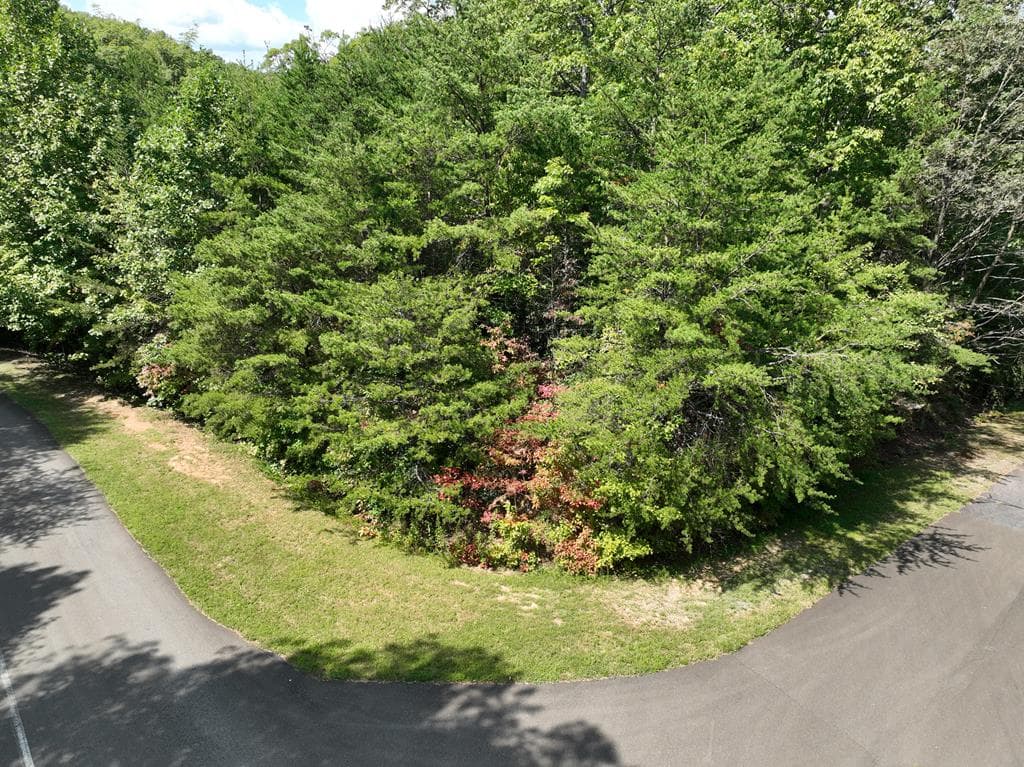 123 Edinborough Court, Ellijay GA 30536 - Photo
