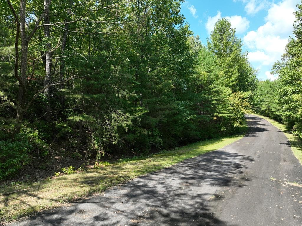 123 Edinborough Court, Ellijay GA 30536 - Photo