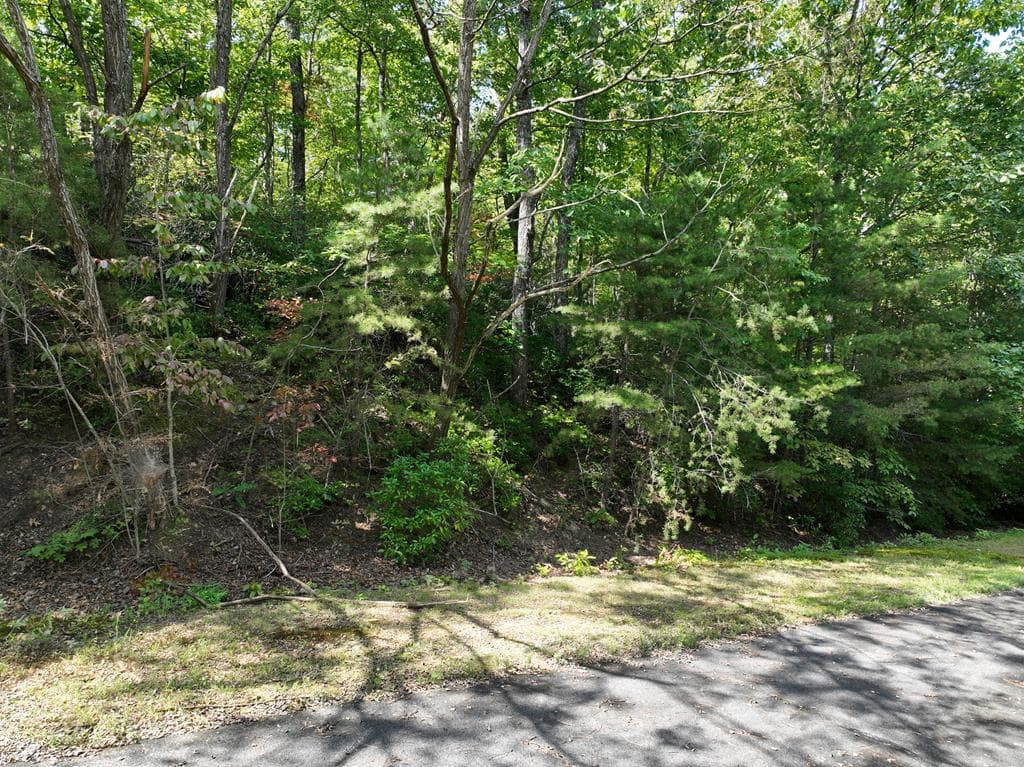 123 Edinborough Court, Ellijay GA 30536 - Photo