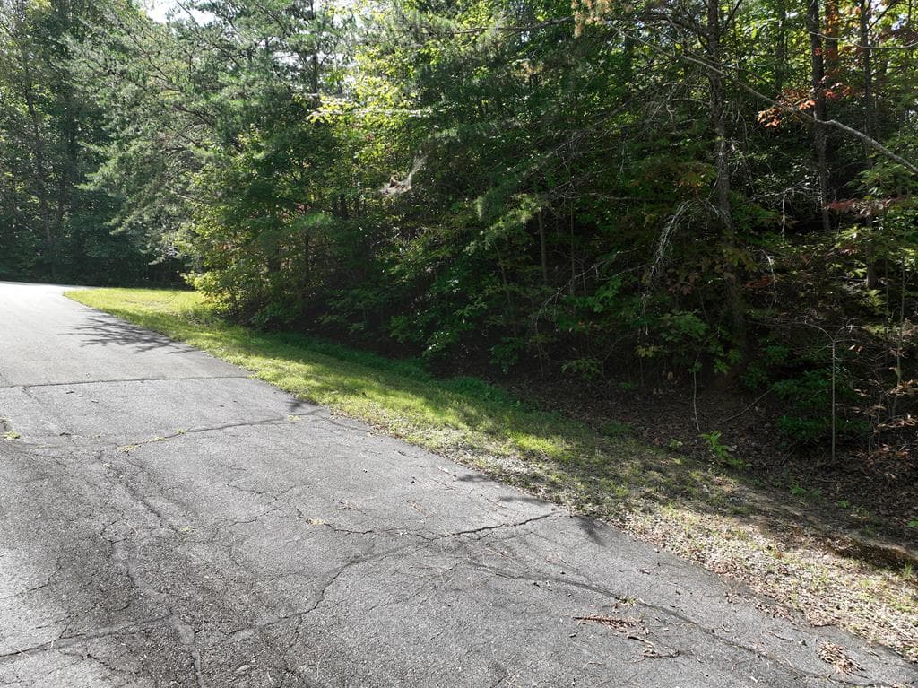 123 Edinborough Court, Ellijay GA 30536 - Photo