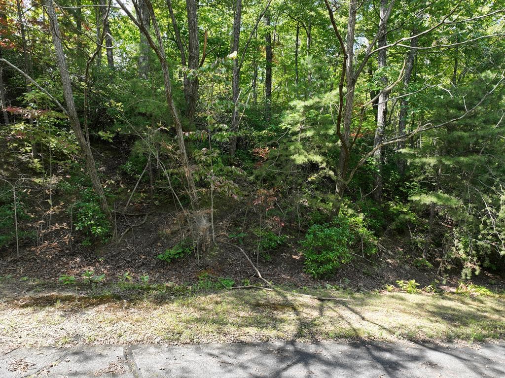 123 Edinborough Court, Ellijay GA 30536 - Photo