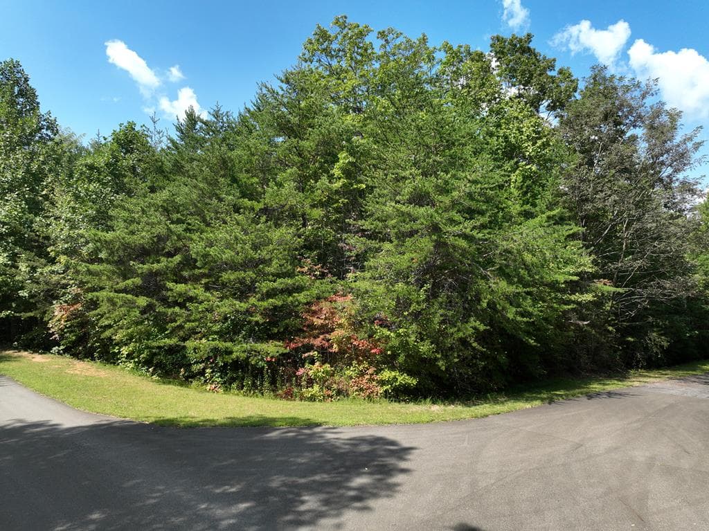 123 Edinborough Court, Ellijay GA 30536 - Photo