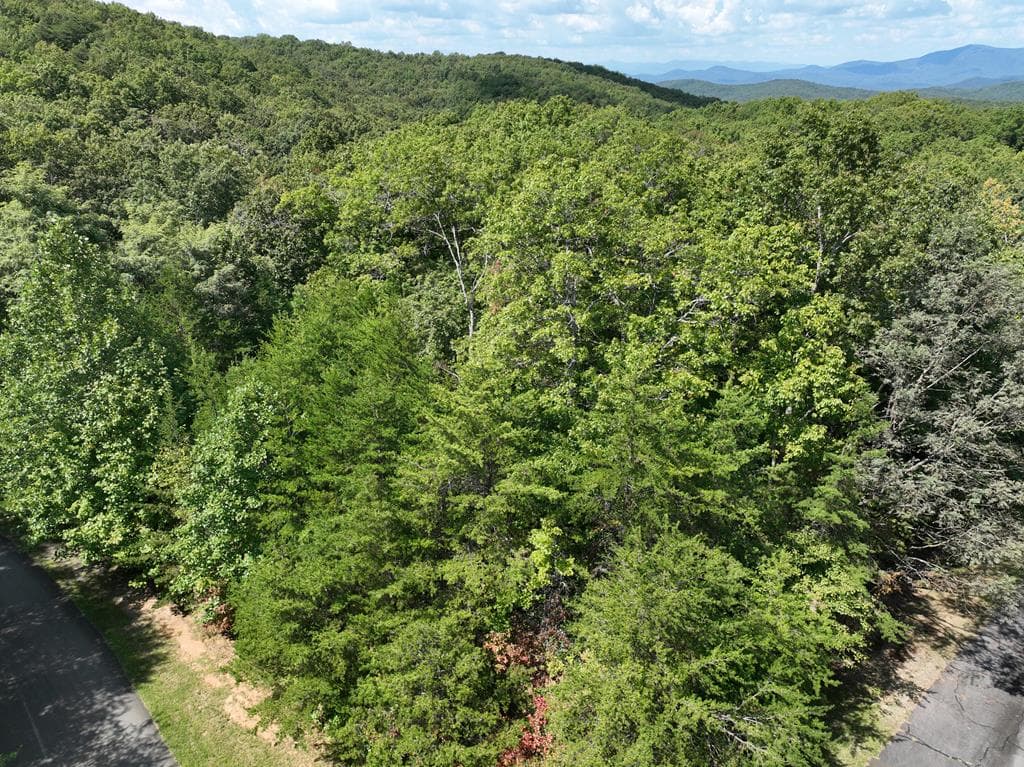 123 Edinborough Court, Ellijay GA 30536 - Photo