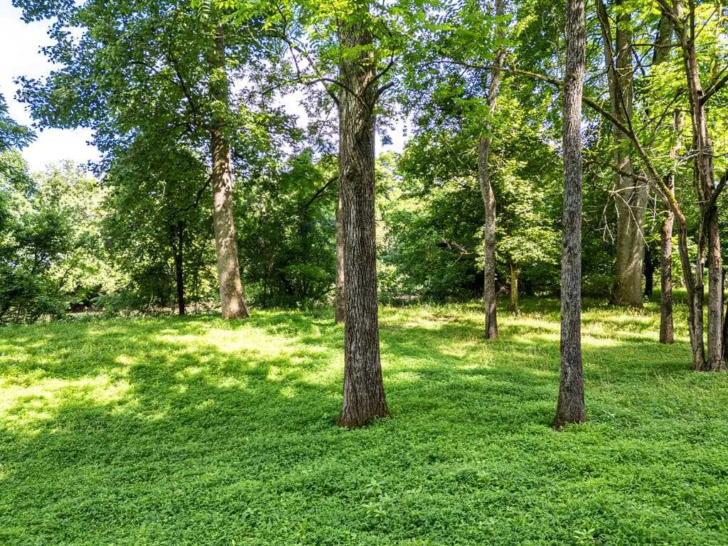 126 Remington Lane, Murphy NC 28906 - Photo