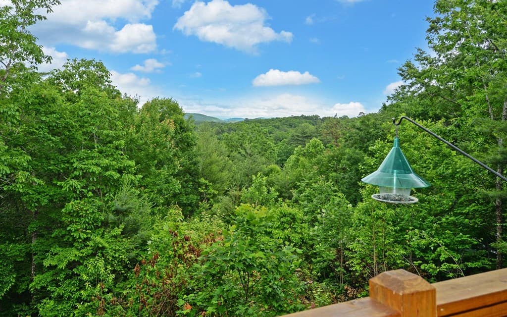 68 Strutters Trail, Murphy NC 28906 - Photo