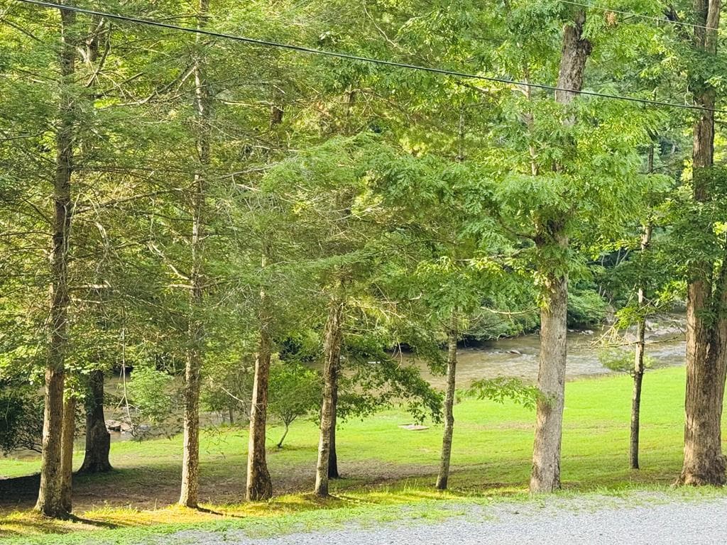 603 Ashley Drive, Ellijay GA 30540 - Photo