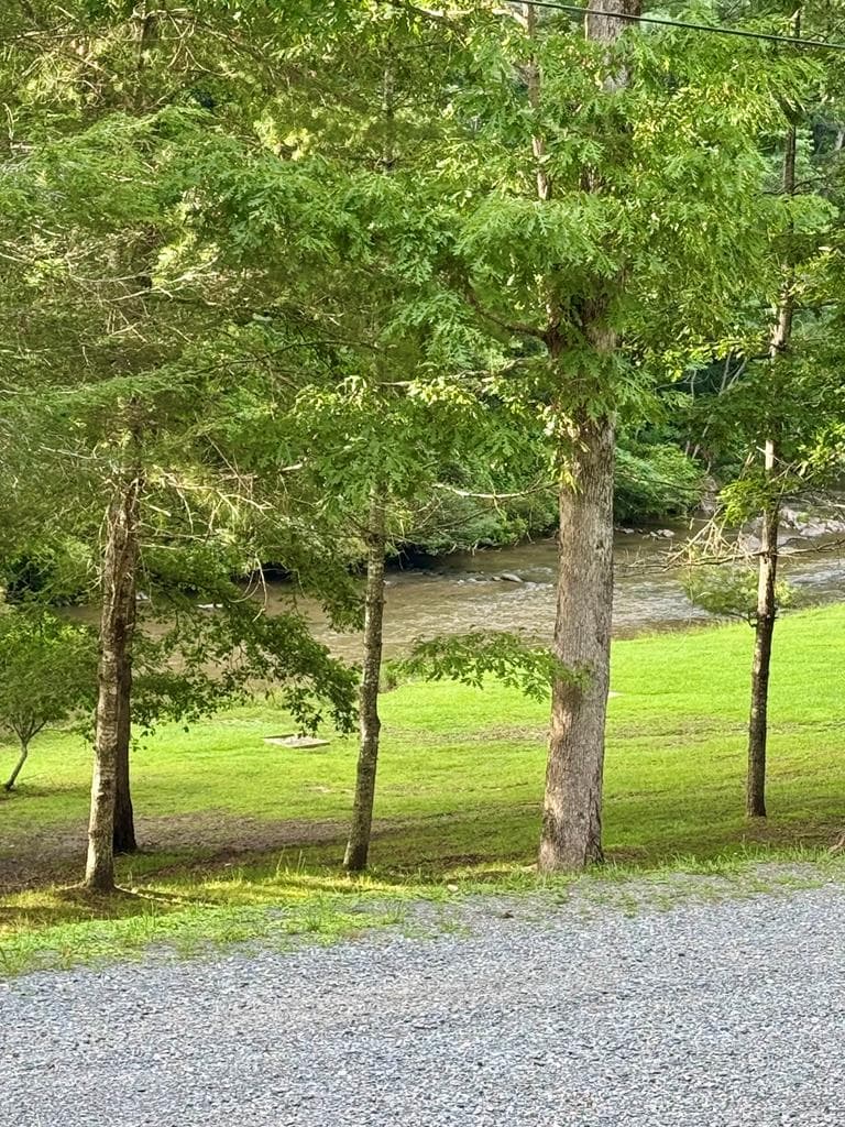 603 Ashley Drive, Ellijay GA 30540 - Photo