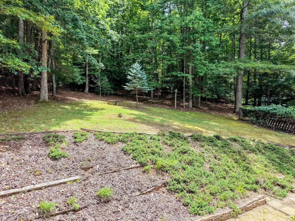2930 Hicks Gap Road, Blairsville GA 30512 - Photo