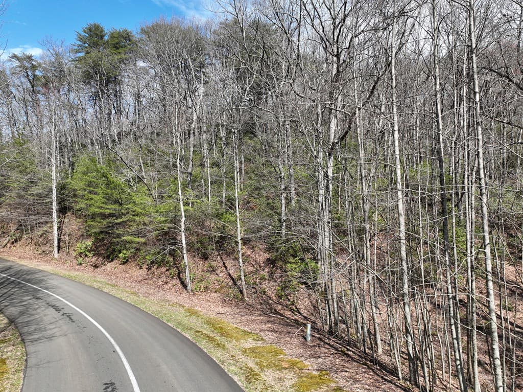 63 St Andrews Way, Ellijay GA 30536 - Photo