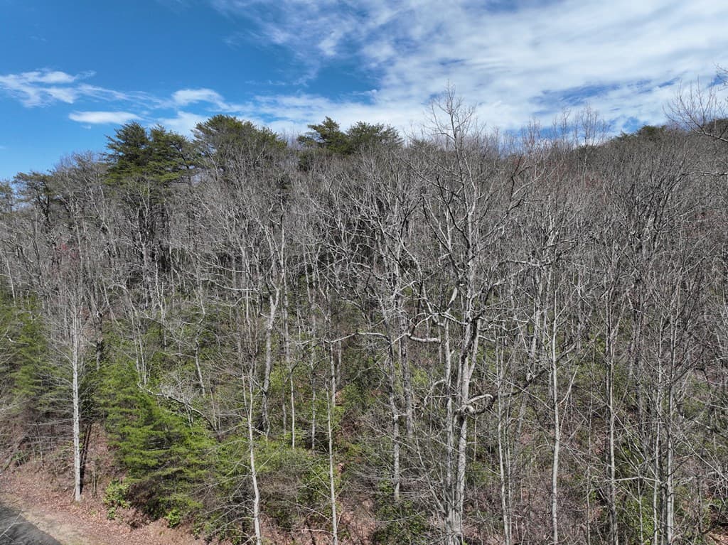 63 St Andrews Way, Ellijay GA 30536 - Photo