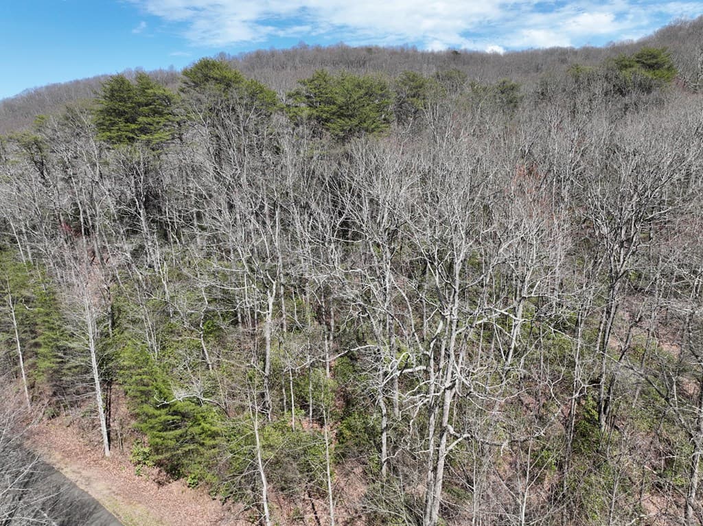 63 St Andrews Way, Ellijay GA 30536 - Photo