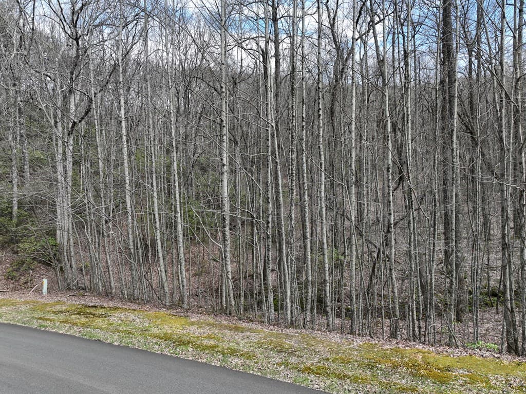63 St Andrews Way, Ellijay GA 30536 - Photo