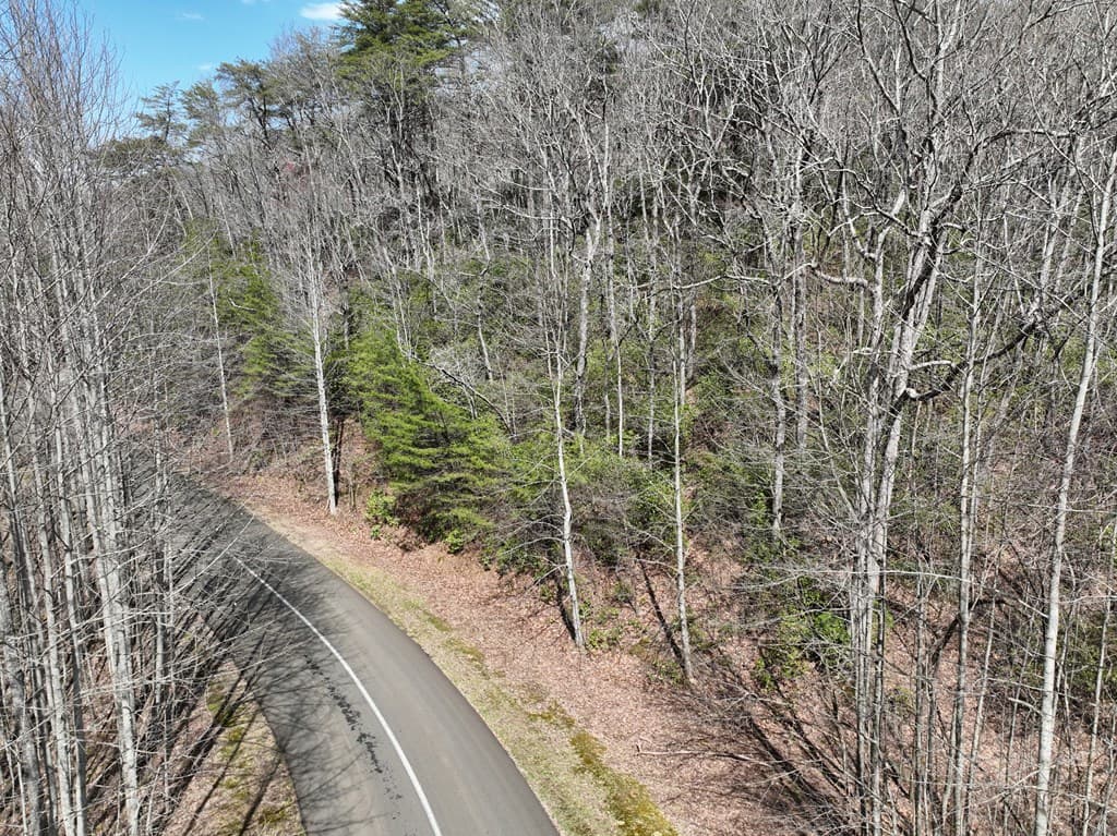 63 St Andrews Way, Ellijay GA 30536 - Photo