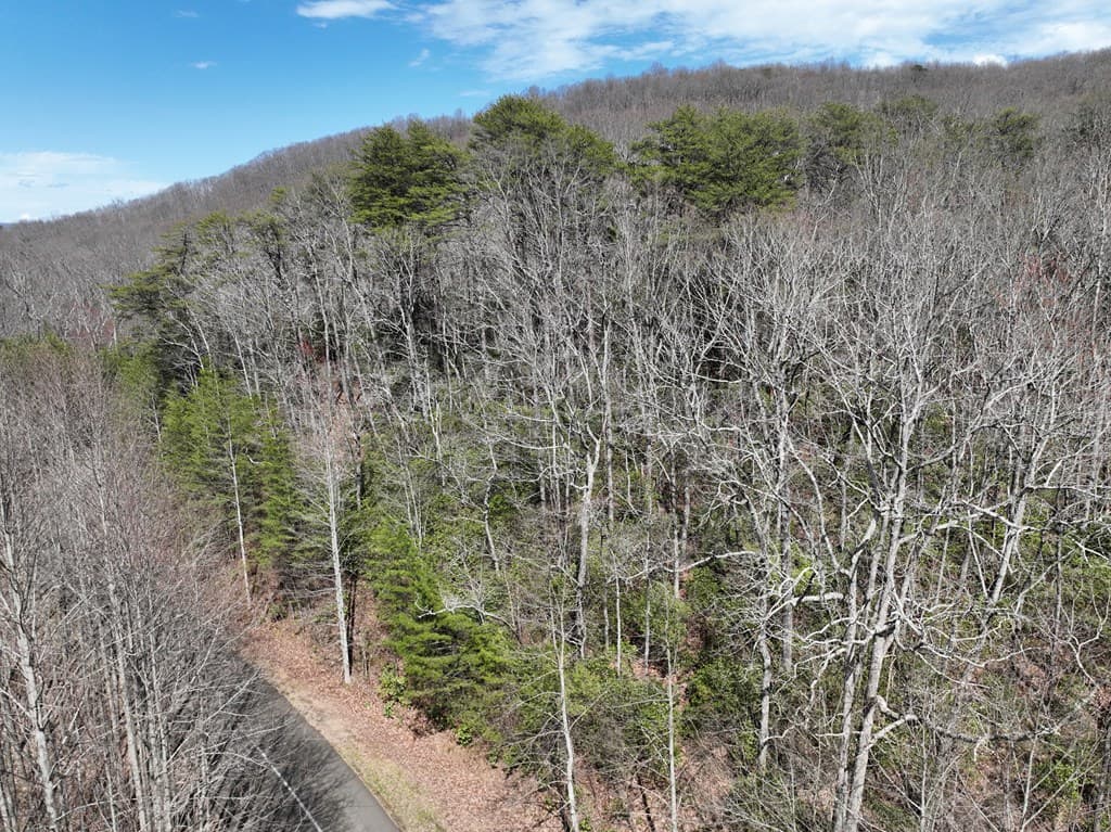 63 St Andrews Way, Ellijay GA 30536 - Photo