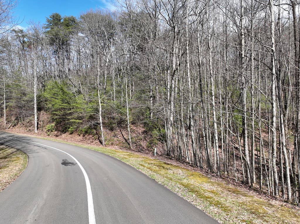 63 St Andrews Way, Ellijay GA 30536 - Photo