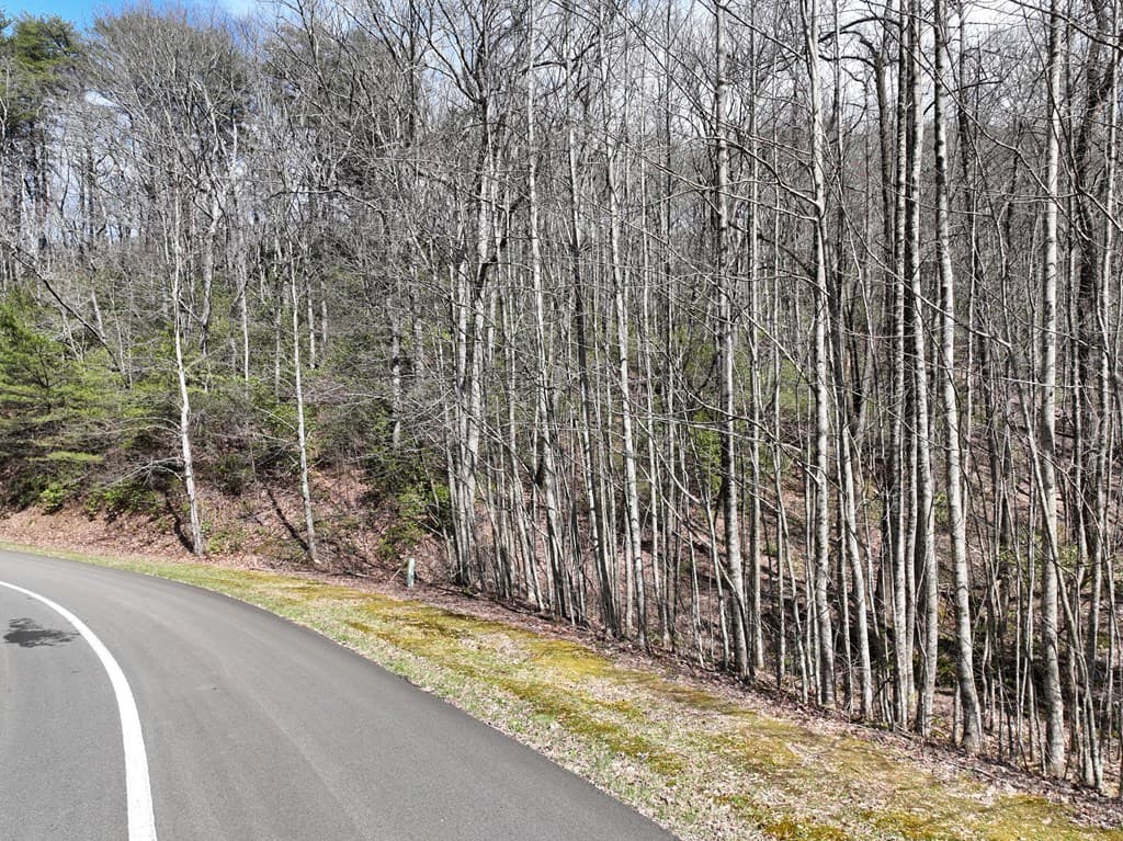 63 St Andrews Way, Ellijay GA 30536 - Photo