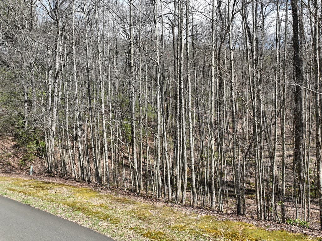 63 St Andrews Way, Ellijay GA 30536 - Photo