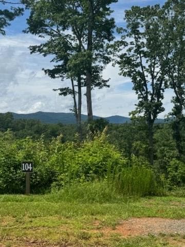 LT 104 River Knoll Trail, Ellijay GA 30540 - Primary photo