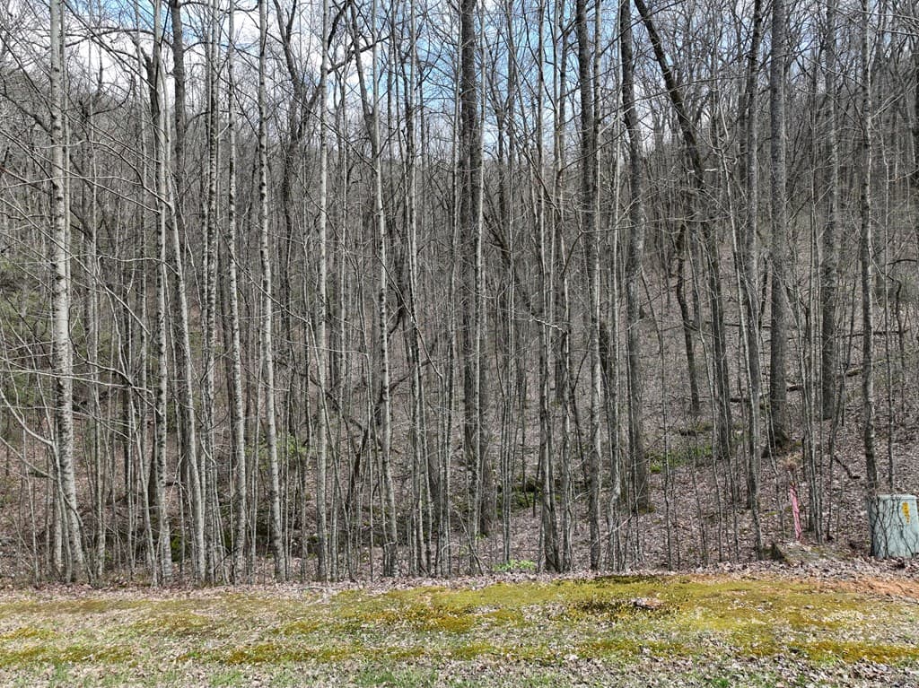 64 St Andrews Way, Ellijay GA 30536 - Photo