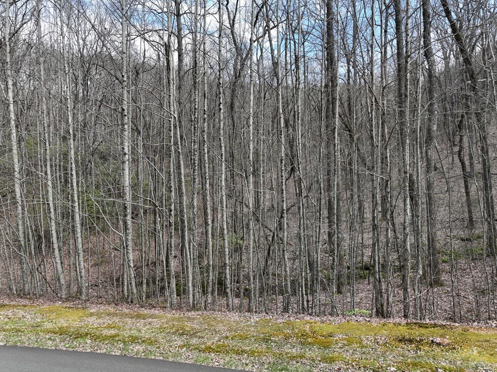 64 St Andrews Way, Ellijay GA 30536 - Photo