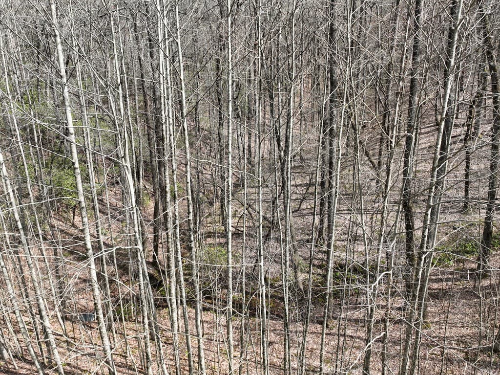 64 St Andrews Way, Ellijay GA 30536 - Photo