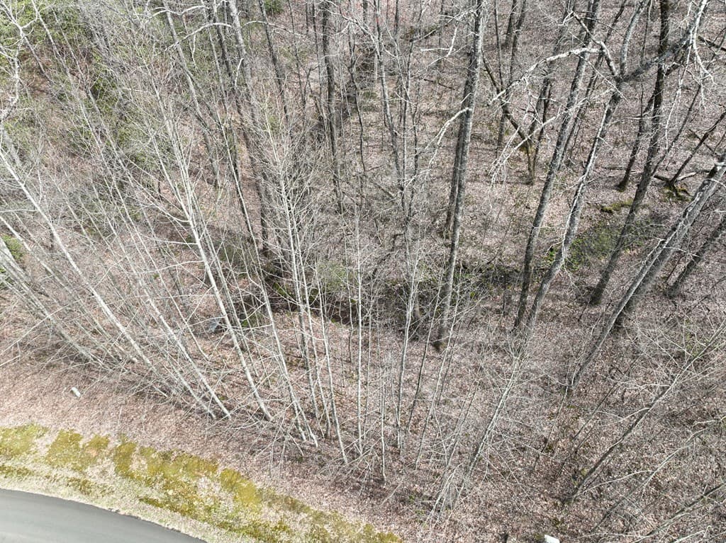 64 St Andrews Way, Ellijay GA 30536 - Photo