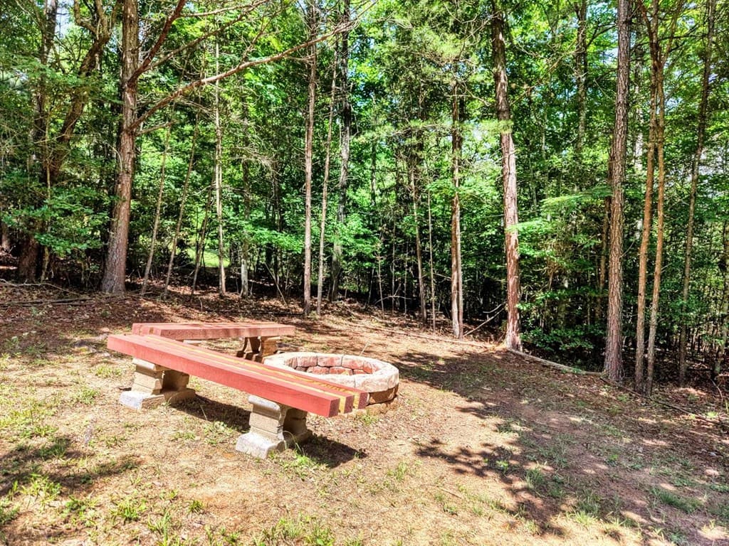 21 Ashley Trail, Warne NC 28909 - Photo