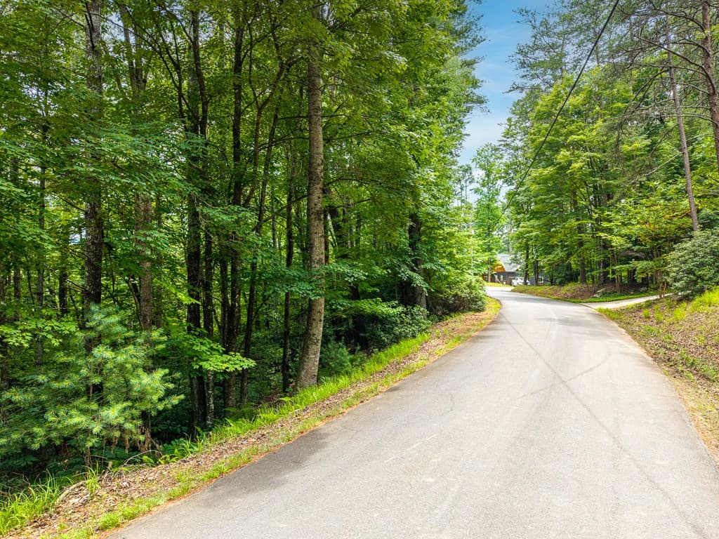 Lot 630 Nahunta Court, Ellijay GA 30540 - Photo