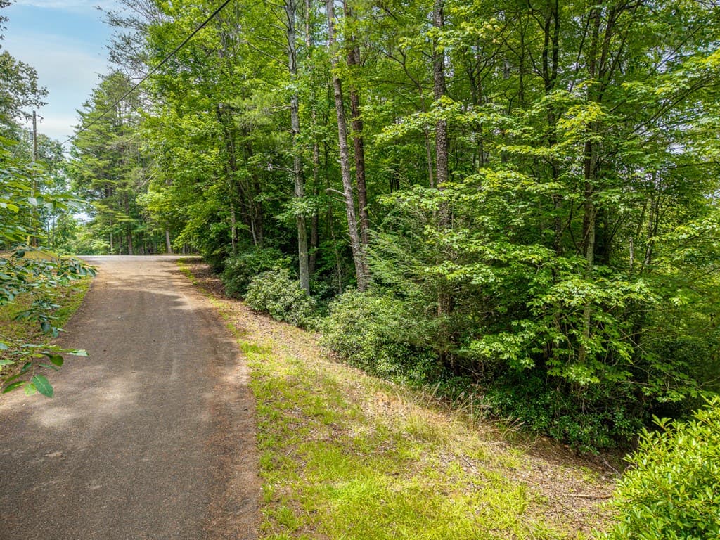 Lot 630 Nahunta Court, Ellijay GA 30540 - Photo