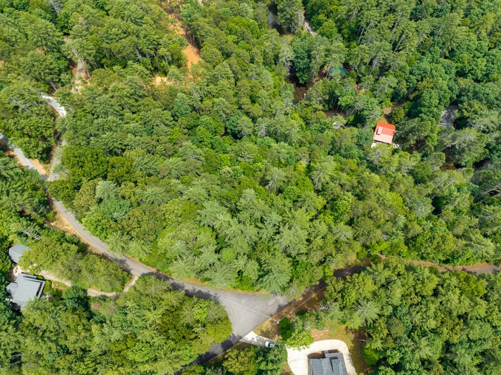Lot 630 Nahunta Court, Ellijay GA 30540 - Photo